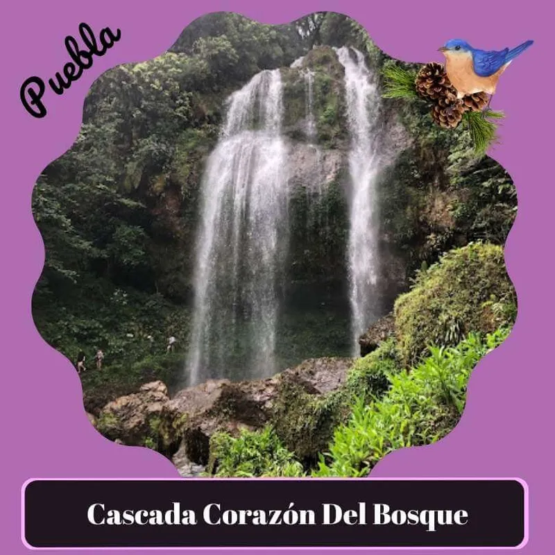 sitio ecoturístico cascada corazon del bosque