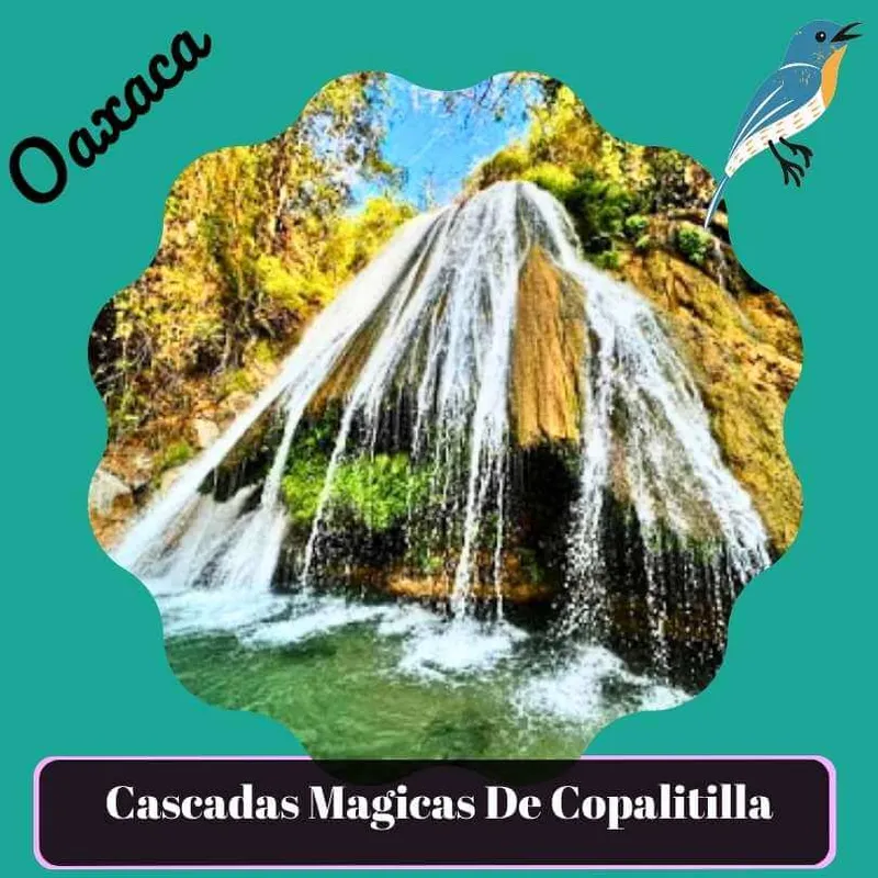 Cascadas Magicas de Copalitilla