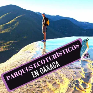Imagen de Parques Ecoturísticos en Oaxaca: 15 Lugares Increíbles para hacer ecoturismo en Oaxaca.