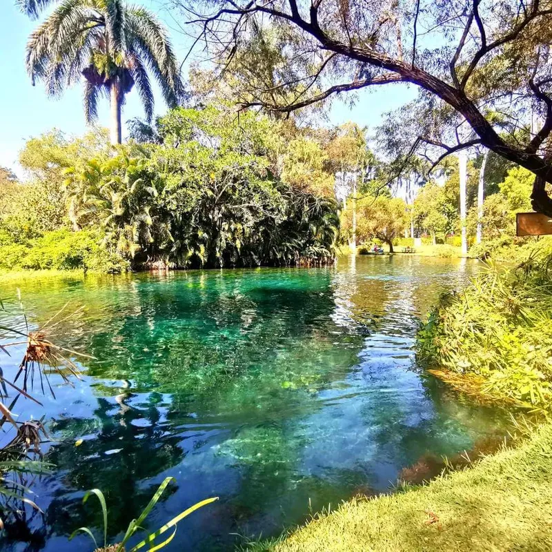 campamento las estacas