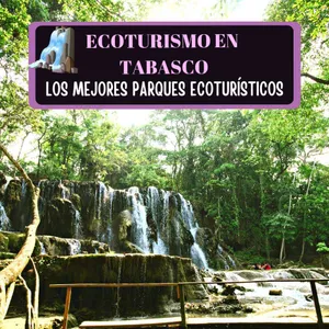 Imagen de Ecoturismo en Tabasco: 10 Centros y Parques Ecoturísticos Increíbles de Tabasco.