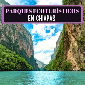 Imagen de Parques Ecoturísticos en Chiapas: 18 Sitios Increíbles para hacer Ecoturismo en Chiapas