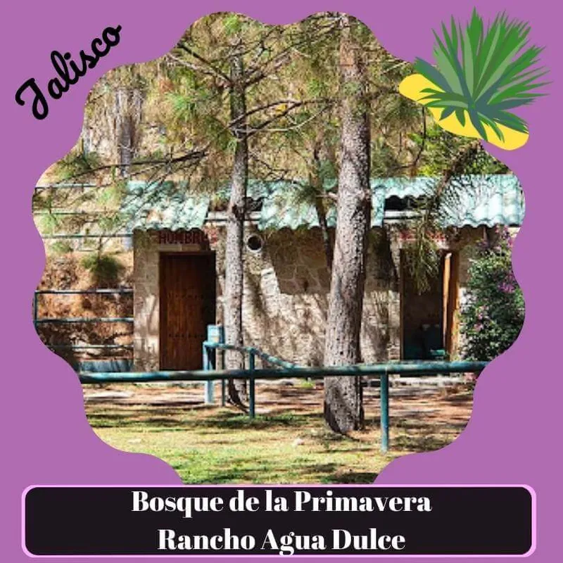 Rancho Ecoturístico Agua Dulce en Bosque de La Primavera
