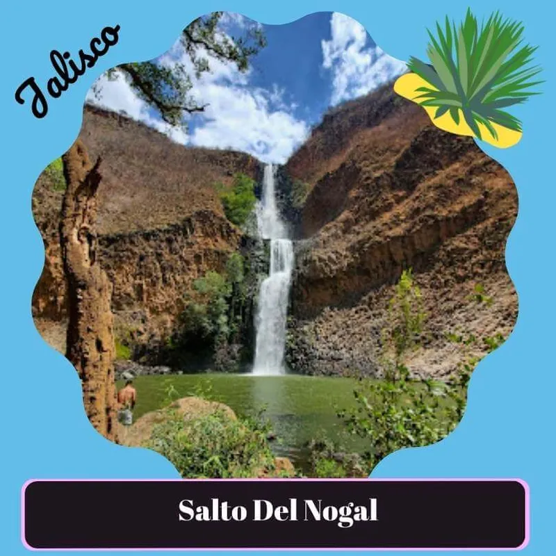 Salto del nogal