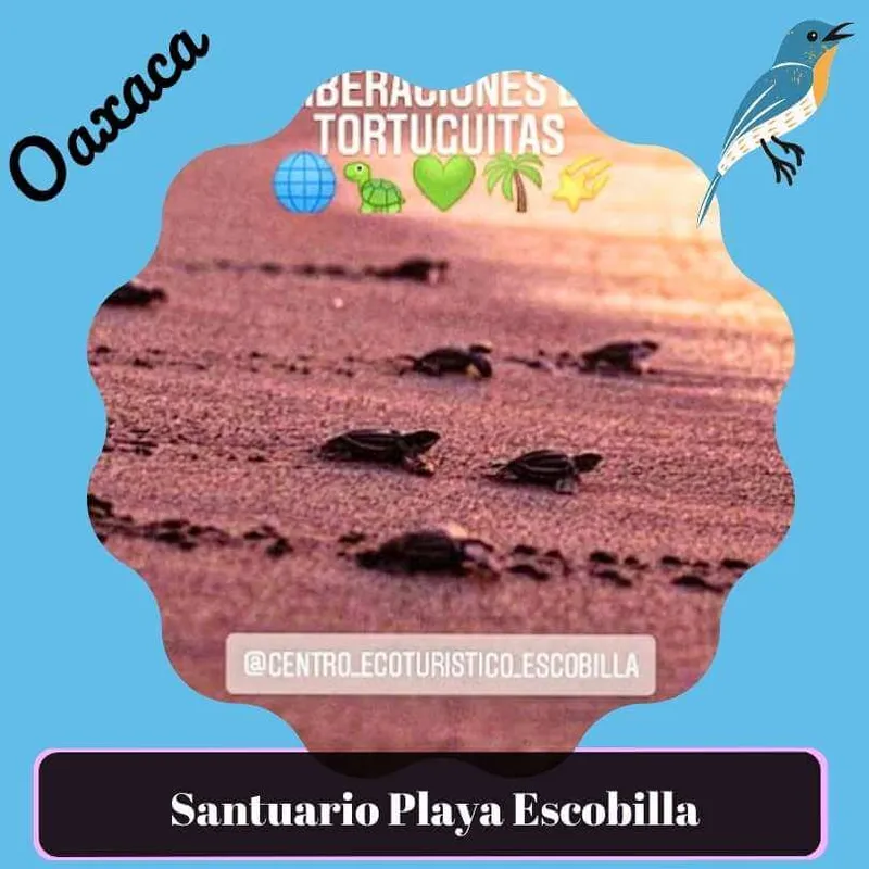 Santuario Playa Escobilla