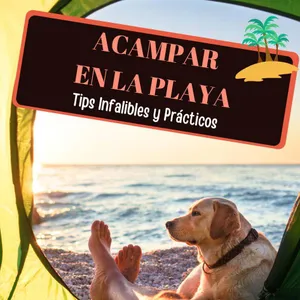 Imagen de Acampar en la Playa: 20 tips infalibles y prácticos para un camping playero exitoso.