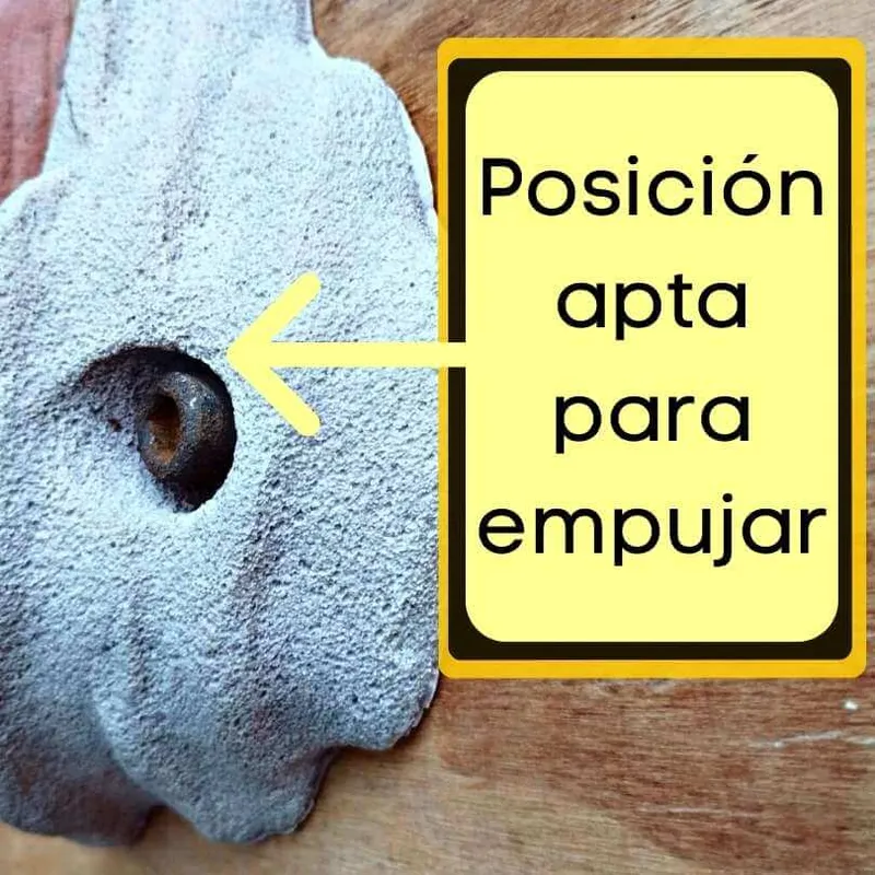agarre de empuje lateral o gastón