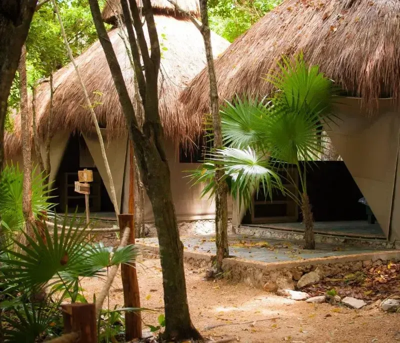 Foto 1 de Akumal Natura Glamping