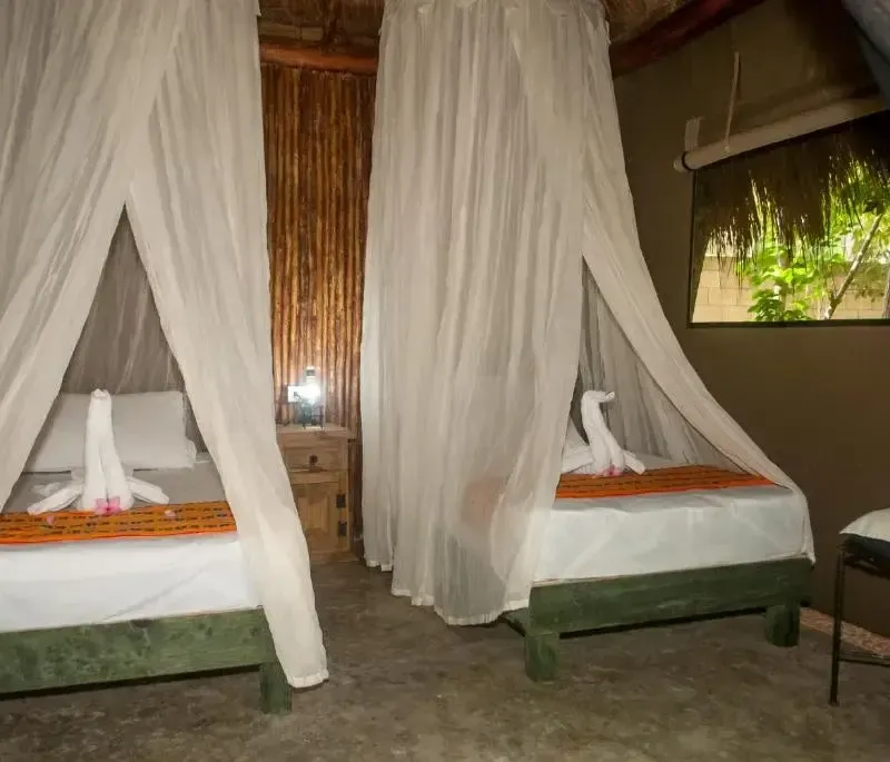 Foto 3 de Akumal Natura Glamping