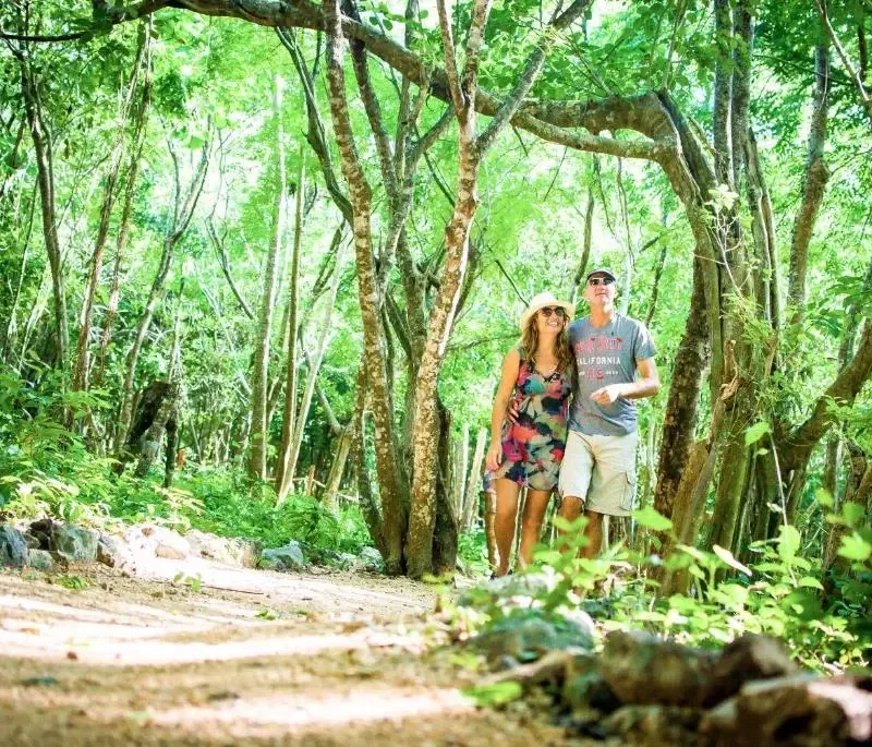 Foto 4 de Akumal Natura Glamping