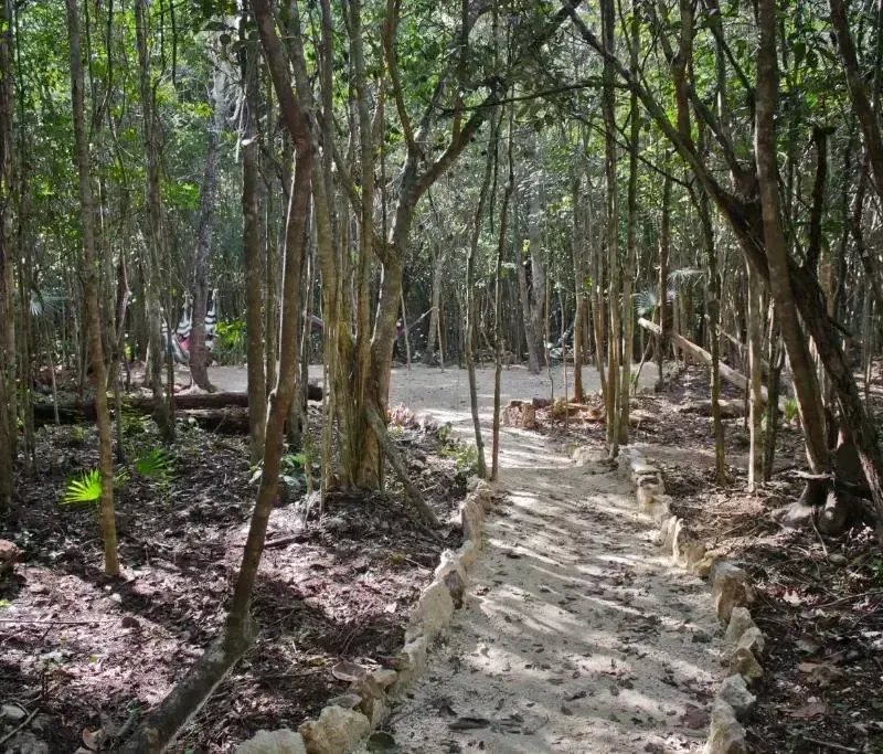 Foto 4 de Aldea Maya-Ha Cabañas con cenotes