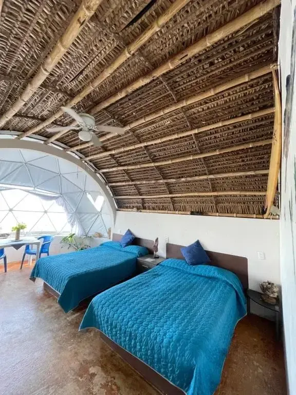 Foto 2 de Glamping Burbuja