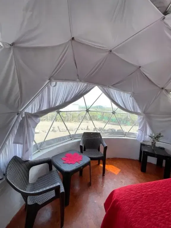 Foto 5 de Glamping Burbuja