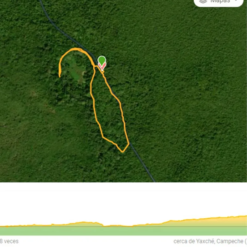 ruta de senderismo de calakmul a balam ku en Yaxche campeche