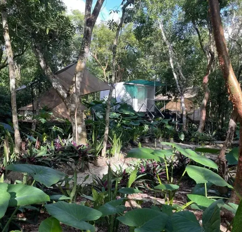 Foto 2 de Cozumel Glamping