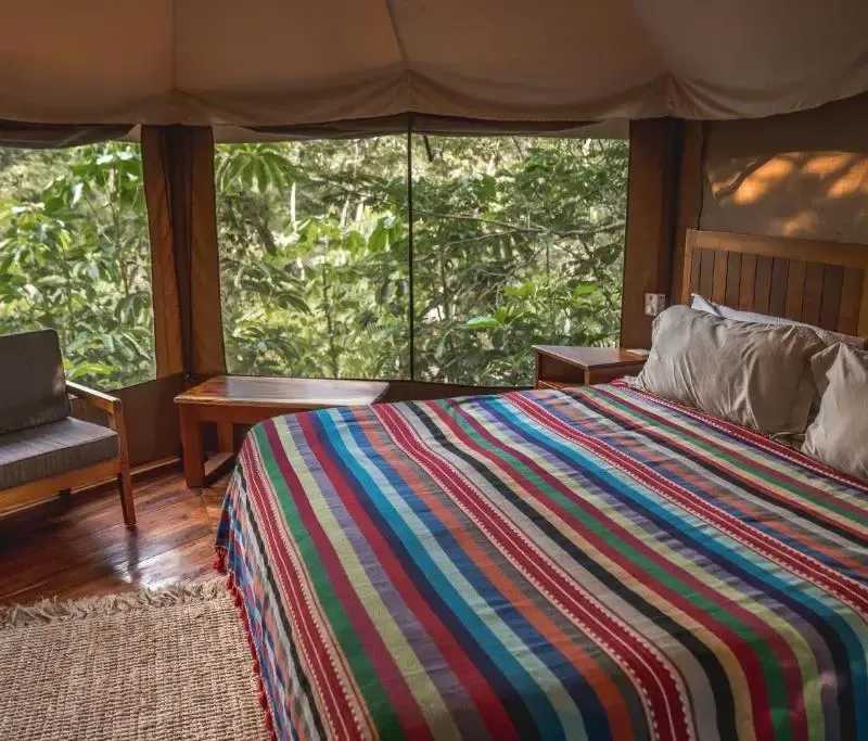 Foto 4 de Destino Mío Mayan Jungle Retreat