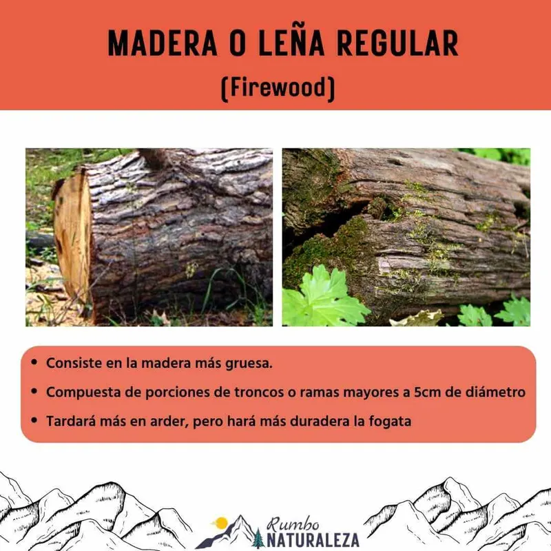madera o leña gruesa para fogata