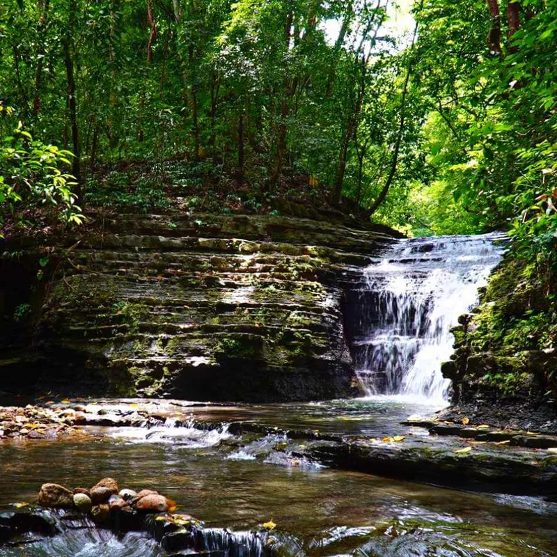 eco parque agua selva en huimanguillo tabasco