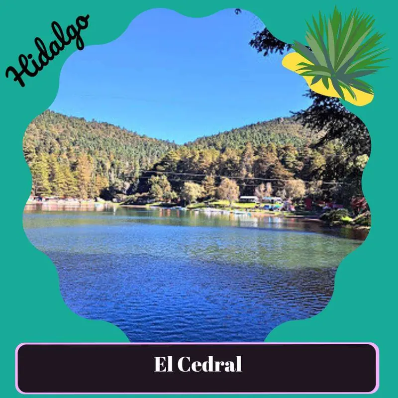 El Cedral