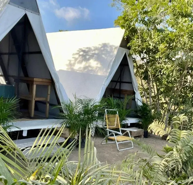 Foto 5 de Glamping Tepeyollotl