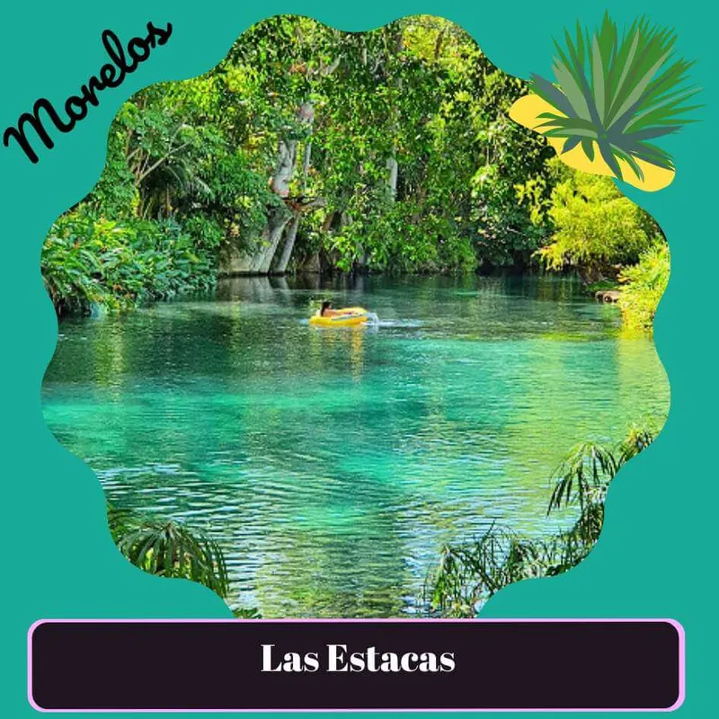 Las Estacas Parque Natural