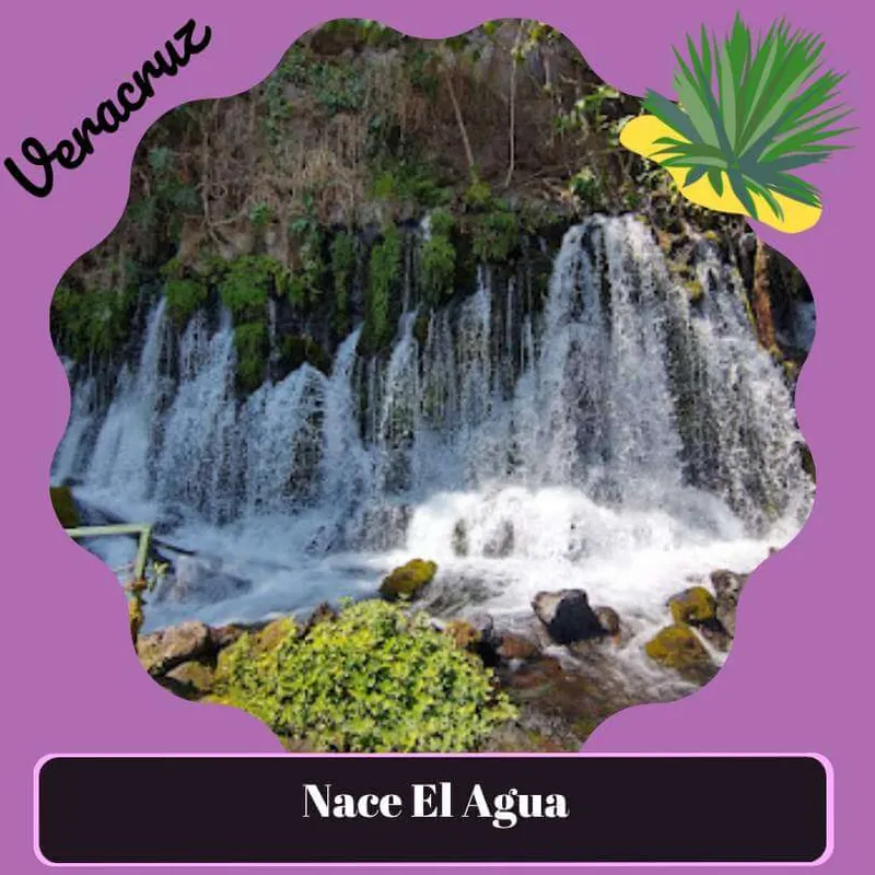 Nace El Agua