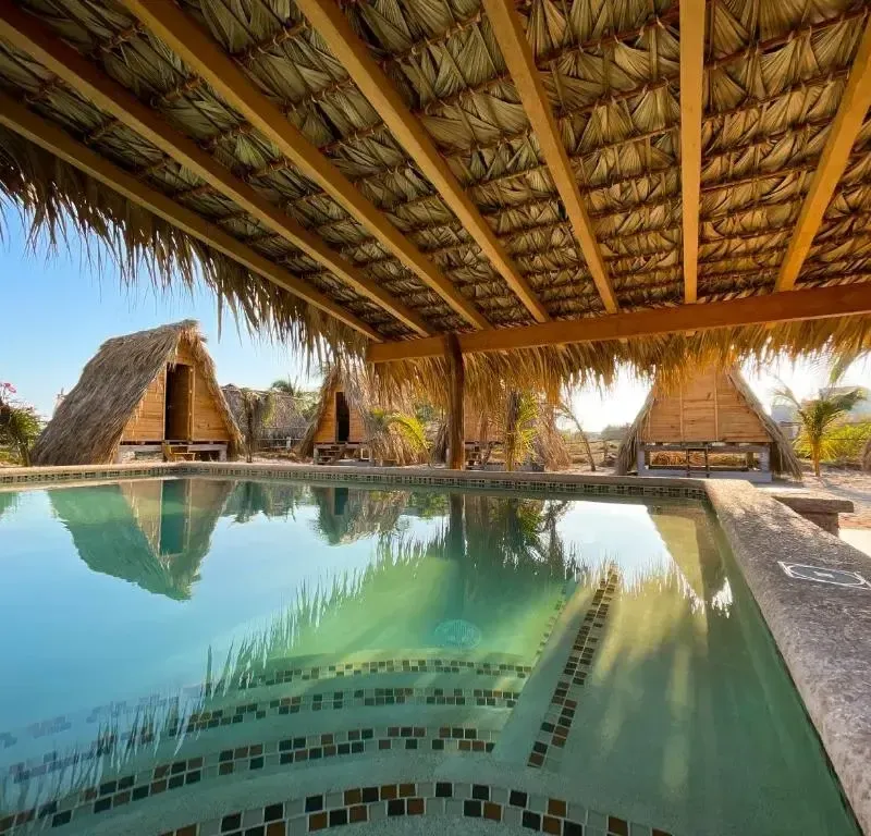 Foto 1 de Nattivo Ecoglamping