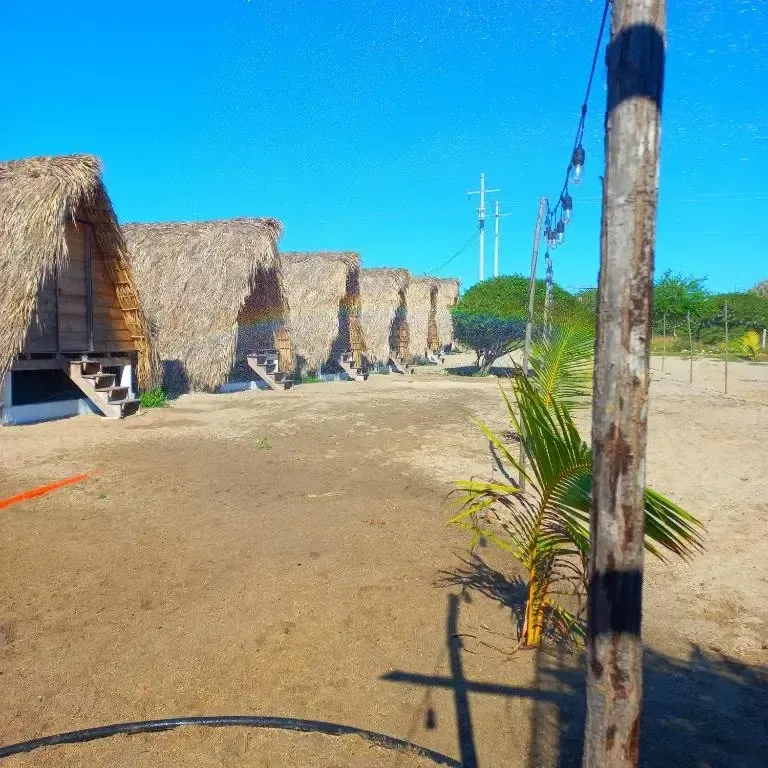 Foto 4 de Nattivo Ecoglamping