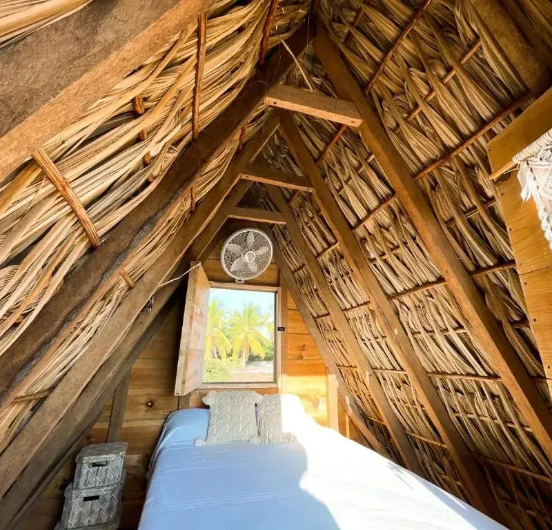 Foto 5 de Nattivo Ecoglamping