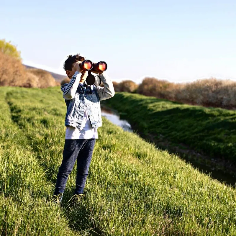 niño observando aves