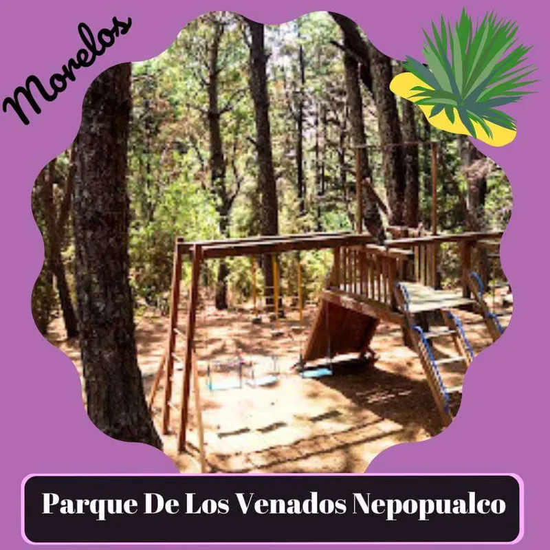 Parque De Los Venados Nepopualco