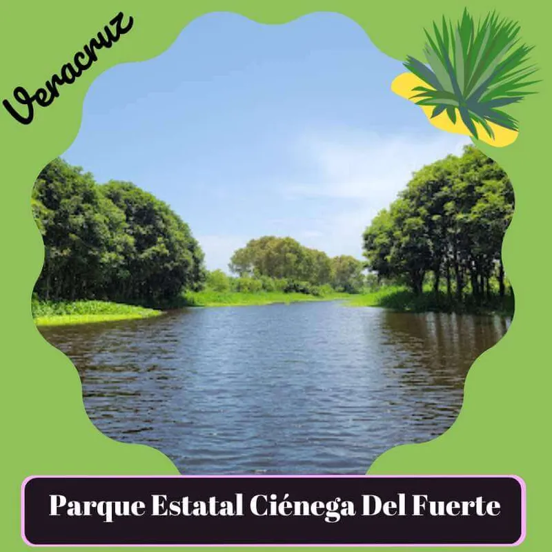 Parque ecoturístico estatal ciénaga del fuerte