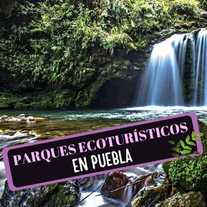 Imagen de Parques Ecoturísticos en Puebla y alrededores: 12 Lugares Increíbles para hacer ecoturismo cerca de Puebla.