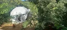 Foto 5 de Punta Mística Glamping
