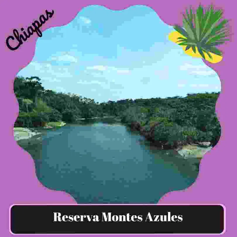 Reserva de la Biósfera Montes Azules