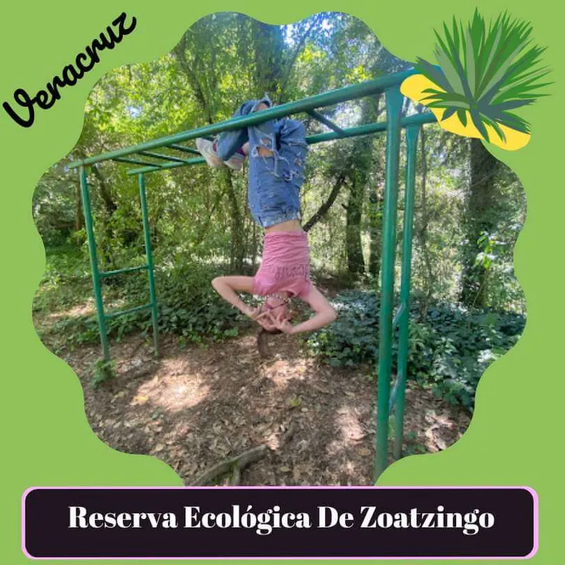 Reserva Ecológica de Zoatzingo