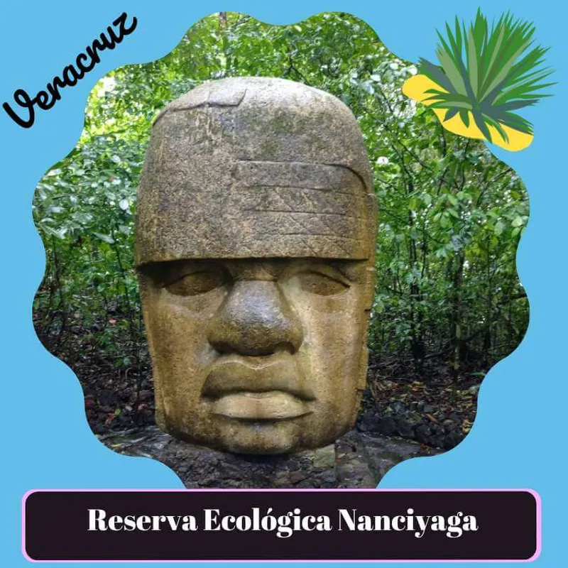 reserva ecologica nanciyaga veracruz