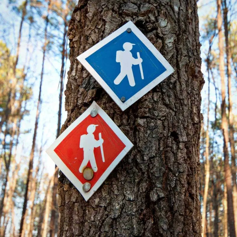 señal de senderismo en panel clavado en árbol