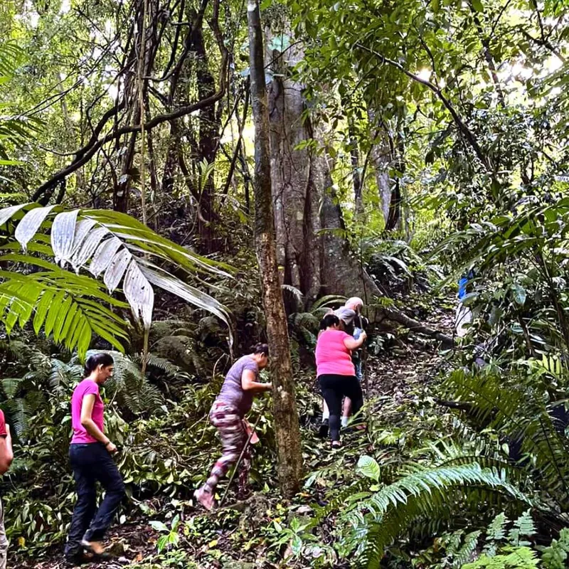 sendero en tenosique tabasco