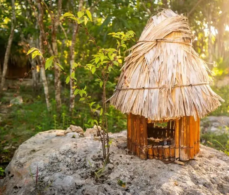 Foto 5 de Spazi Ha Glamping & Cenote