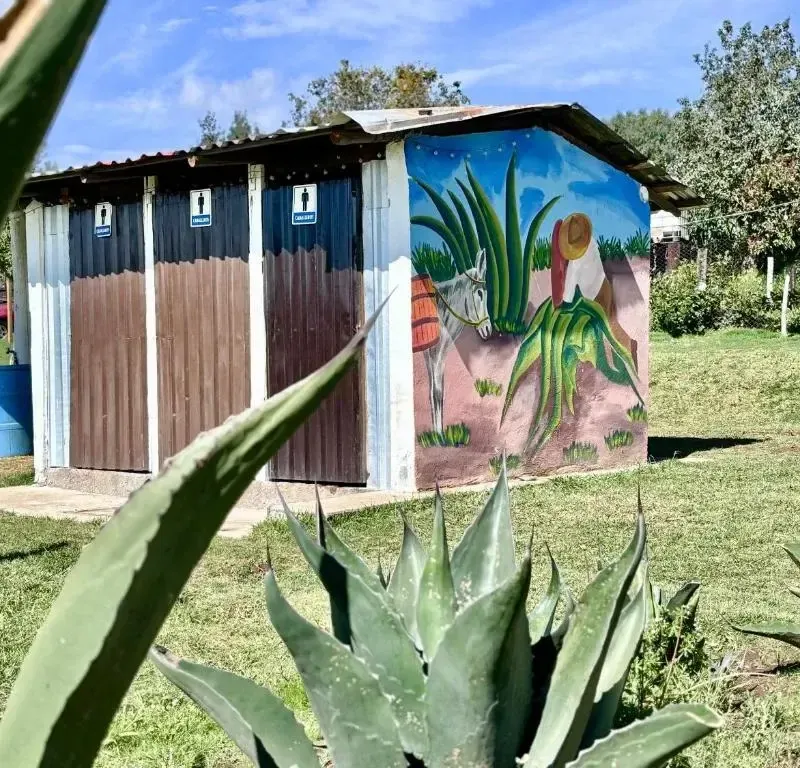 Foto 4 de Glamping Vive Tlaxcala - Santuario de las luciérnagas