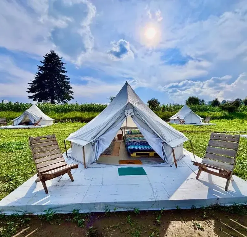Foto 5 de Glamping Vive Tlaxcala - Santuario de las luciérnagas