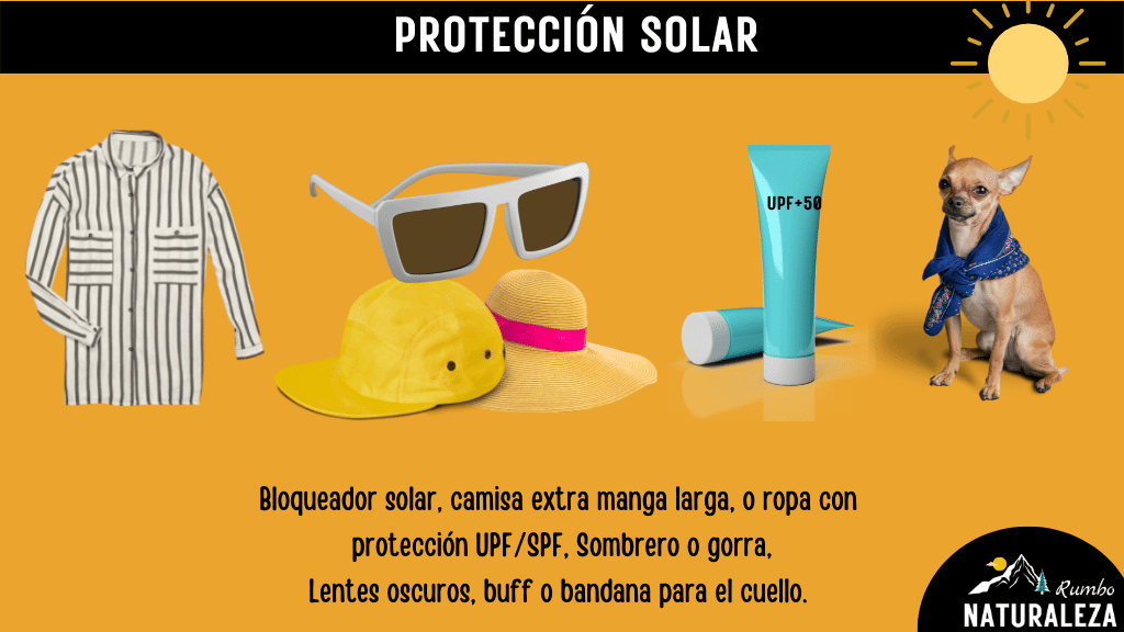 artículos de protección solar