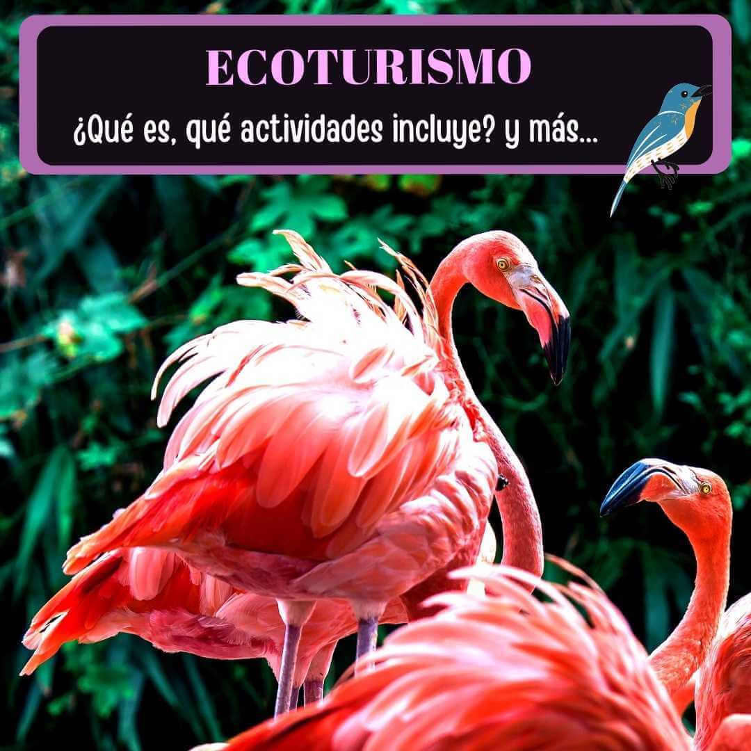 eco tours que es