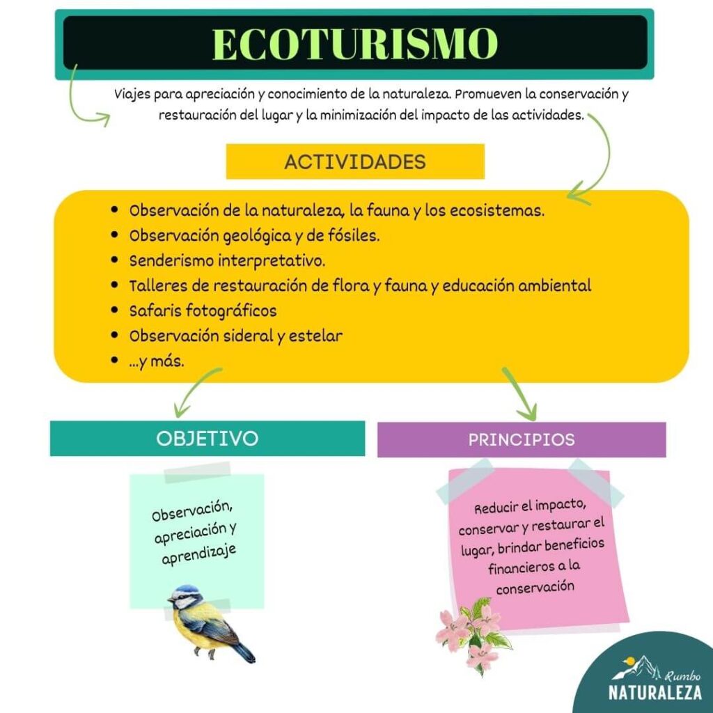 infografía de actividades de ecoturismo