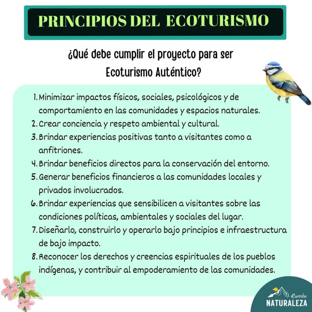 infografía de los principios del ecoturismo