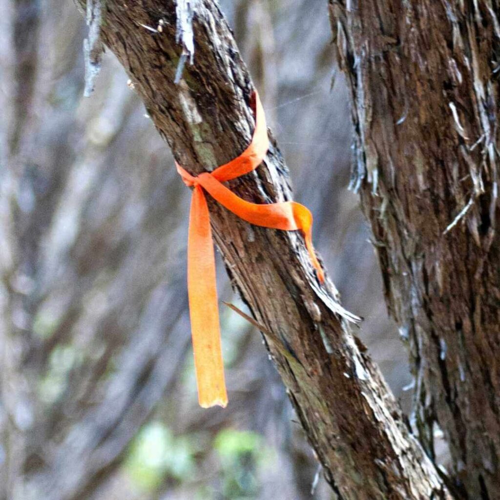 señal senderismo bandera amarrada en arbol