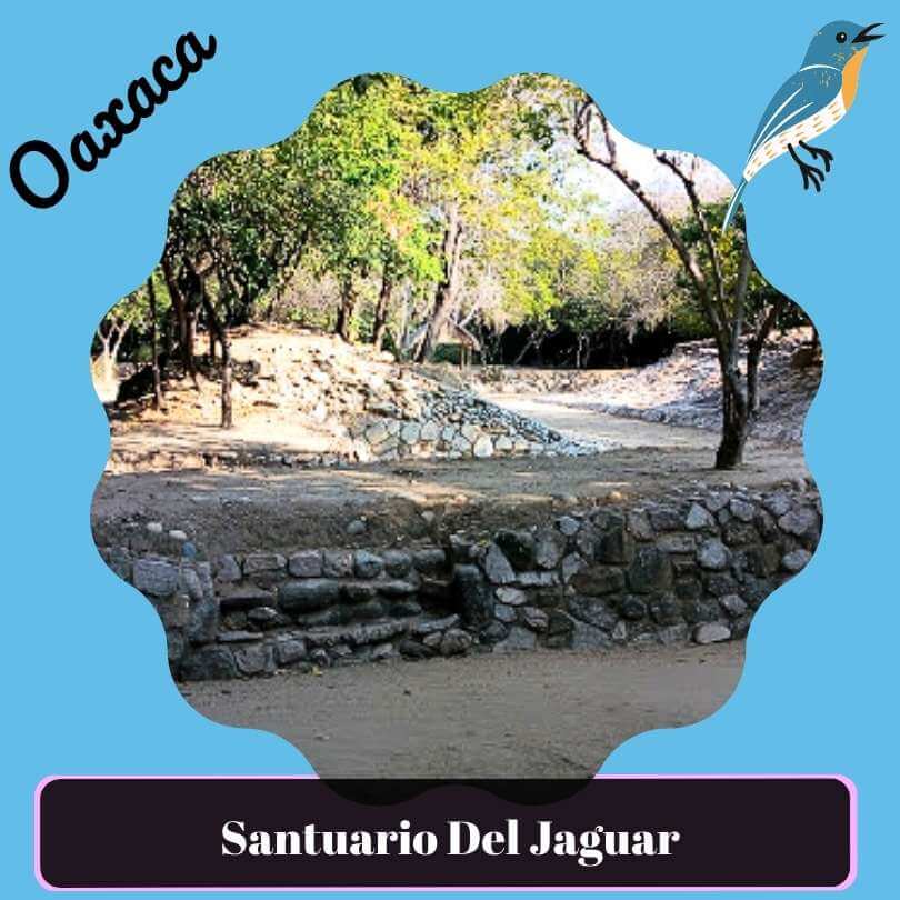 Santuario del jaguar