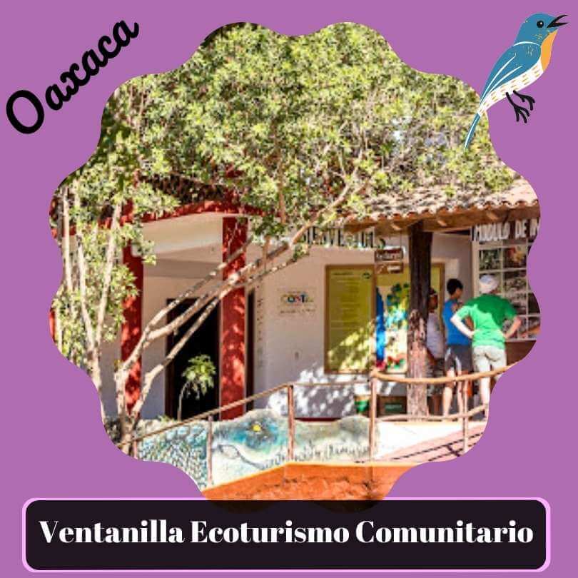 centro ecoturistico la ventanilla Oaxaca