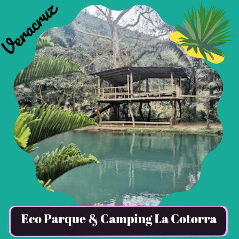 Eco Parque & Camping - La Cotorra